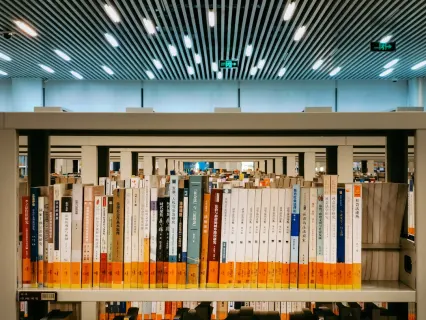 Slottio Casino Mobilapp